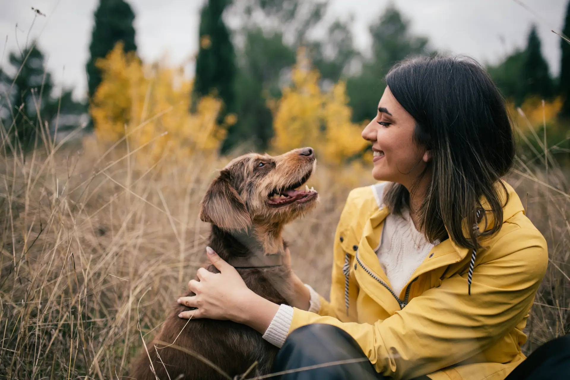 Therapy for women in Lakewood, CO, McCullough Family Therapy